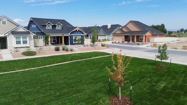 A neigborhood featuring a mix of colorful homes surrounded by well-maintainted green spaces.
